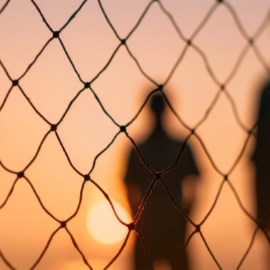 Ce instrumente sunt necesare pentru instalarea plasei de sârmă?